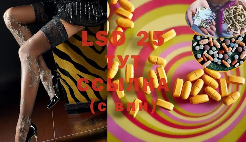 продажа наркотиков  Лодейное Поле  LSD-25 экстази ecstasy 